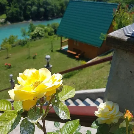 Motel Bavaria