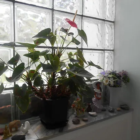 Bavaria Мотель 3*